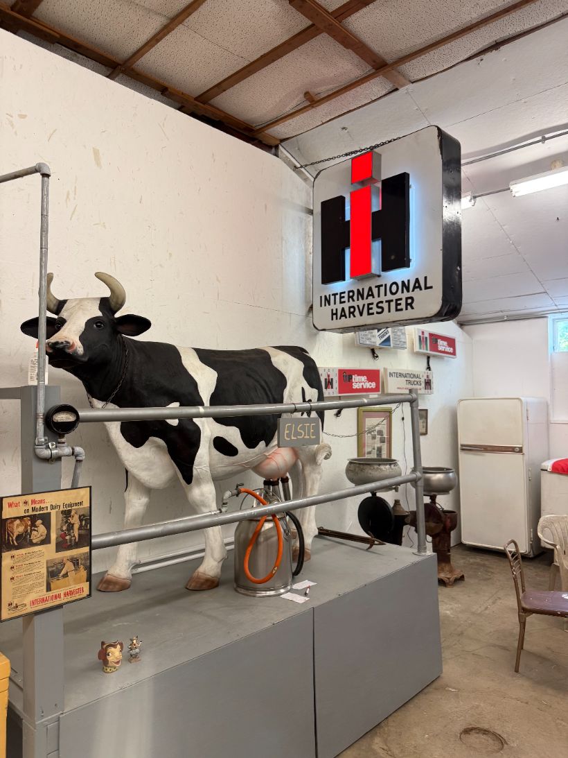 Life-size dairy cow display beneath a lighted International Harvester dealer sign
